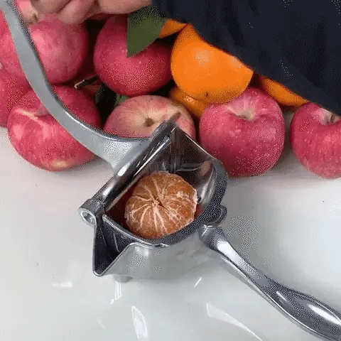 EXPRIFACIL® EXPRIMIDOR DE FRUTAS PREMIUM
