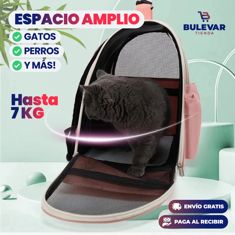 MORRAL PORTÁTIL PARA SALIR CON MASCOTAS