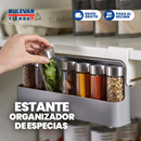 ESTANTE ORGANIZADOR DE ESPECIAS AUTOADHESIVO PARA COCINA CON CAJÓN OCULTO